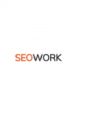 Top Seo Consultant Company in Jaipur - Seowork.in